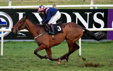 runners and riders for the grand national on saturday|Grand National runners, riders and non.